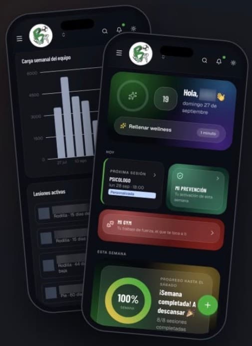 La app en el móvil: portal de la jugadora y carga del equipo